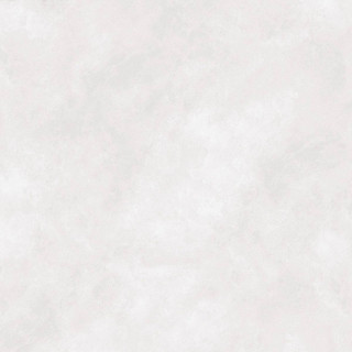 Neodom Newport White Matt 120x120