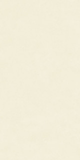 Neodom Design Colors Blossom Salix Matt 60x120H0.9