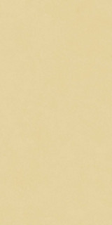 Neodom Design Colors Blossom Sun Matt 60x120H0.9
