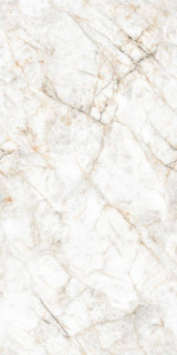 Neodom Marble Glister Gold Carving 80x160H0.9