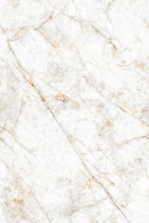 Neodom Marble Glister Gold Carving 120x180H0.9