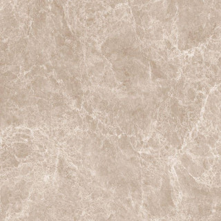 Neodom Emperador Taupe Polished 120x120H0.9