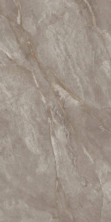 Neodom Marble Orobico Brown Polished 60x120H0.9