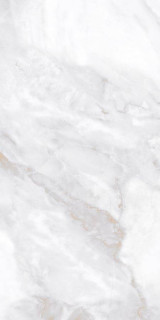 Neodom Marble Ornato Wave Polished 60x120H0.9