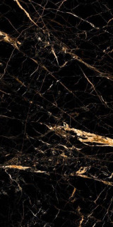 Neodom Black Gold Polished 60x120H0.9