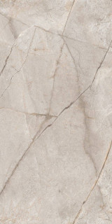 Neodom Marble Silver Stone Carving 60x120H0.9