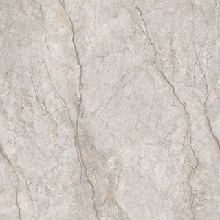 Neodom Marble Elegant River Matt 120x120H0.9