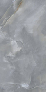 Neodom Jennifer Grey Polished 60x120H0.9