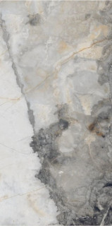 Neodom Matt Renoir Satin 60x120