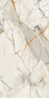 Neodom Massimo Breccia Polished 80x160