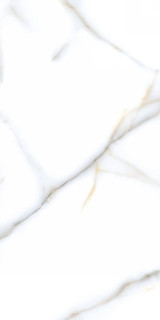 Neodom Onix Pro Honey Polished 60x120