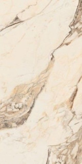 Neodom Splendida Calacatta Gold 60x120