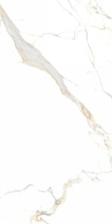 Neodom Statuario Platinum Carving 60x120