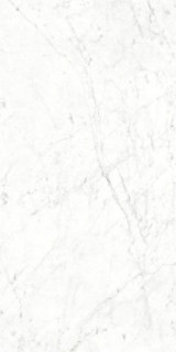 Neodom Splendida Carrara Bianco 60x120