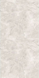Neodom Artis Ice Carving 60x120