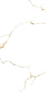 Neodom Golden Statuario Polished 60x120