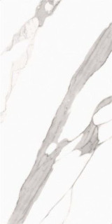 Neodom Splendida Statuario 60x120
