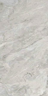 Neodom Nordic Grigio Polished 60x120