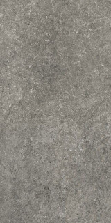 Neodom Splendida Sandstone Nero Matt 60х120