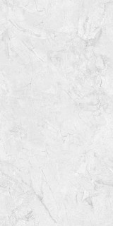 Neodom Leroy Silver Carving 60x120