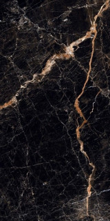 Neodom Splendida Cosmic Brown Polished 60x120