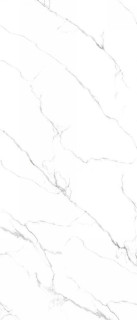 Neodom Titanium Mckinley Polished 120x280H0.6