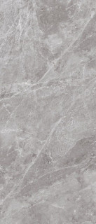 Neodom Titanium Belgium Grey Polished 120x280H0.6