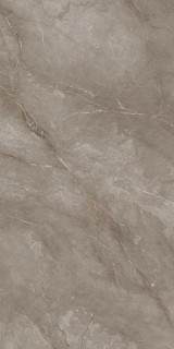 Neodom Supernova Orobico Brown Polished 80x160