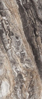 Neodom Titanium Amadeus 120x278