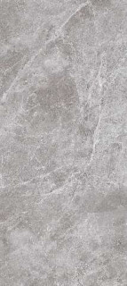 Neodom Titanium Belgium Grey 120x278