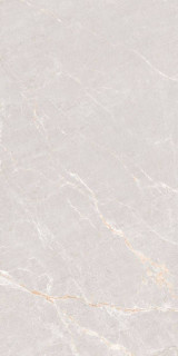 Neodom Persian Grey Tm 80x160H0.9