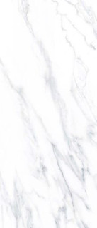 Neodom Titanium Calacatta Classico 120x278