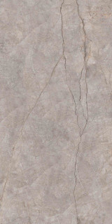 Neodom Techno Matt Silver River Carving 80x160
