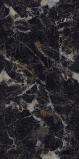 Neodom Supreme Nero Picasso Polished 60x120