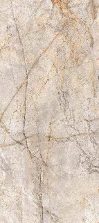 Neodom Titanium Silver River Classic 120x278