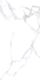 Neodom Unica Statuario Chic Polished 60x120