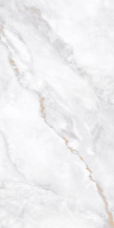 Neodom Unica Ornato Wave Polished 60x120