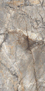 Neodom Unica Golden River Polished 60x120