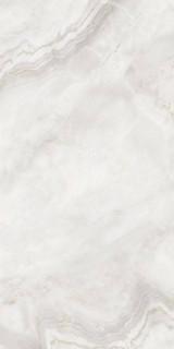 Neodom Unica Astoria Bianco Polished 60x120