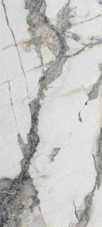 Neodom Titanium Renoir Polished 120x280