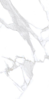 Neodom Unica Statuario Chic Matt 60x120