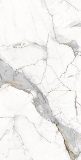Ocean Ceramic Vienna Calcutta Glossy 4.8mm 60x120H0.48