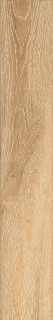 Ocean Ceramic Soft Fresh Carving 20x120H0.9
