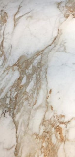 Calacatta Oro 80x160