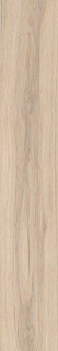 Ocean Ceramic Eternity Beige New 20x120H0.9