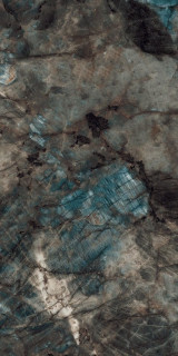 Ocean Ceramic Trixxon Fern High Glossy 60x120