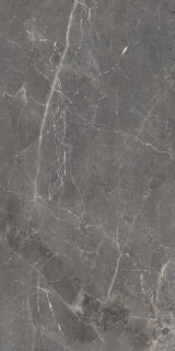 Ocean Ceramic Tulip Grey Glossy 60x120