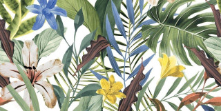 Ocean Ceramic Tropical A Gem 60x120