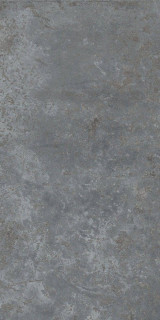 Ocean Ceramic Zenia Gris Metallic 60x120