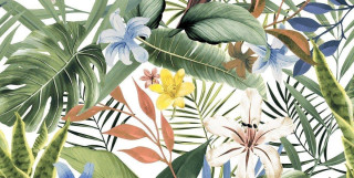 Ocean Ceramic Tropical B Gem 60x120